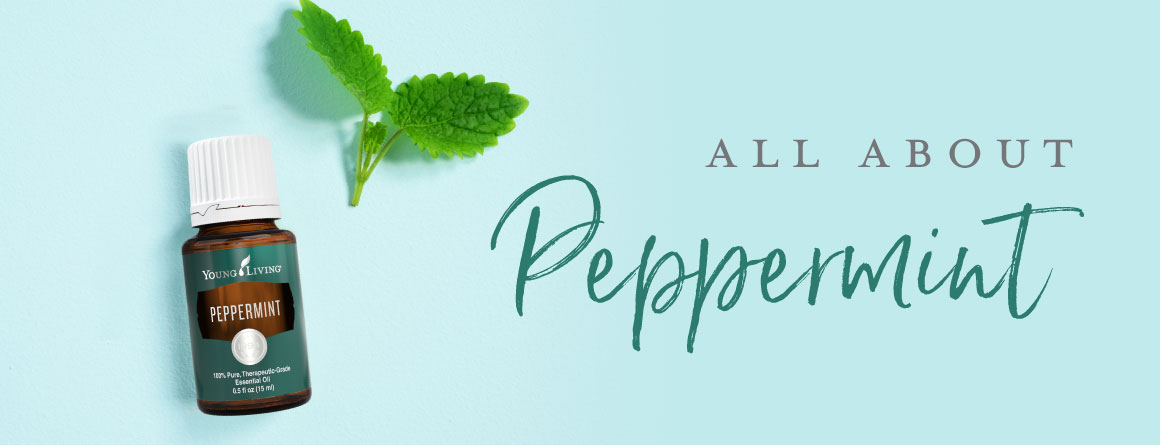 Read more about the article All About Peppermint